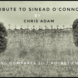 Nothing Compares 2U / Pocket Change