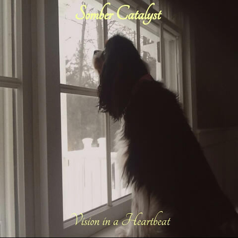 Somber Catalyst Vision in a Heartbeat