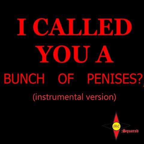 I Called You a Bunch of Penises? (Instrumental Version)