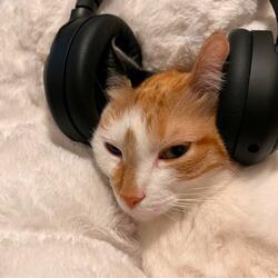 Don't Stop the Music