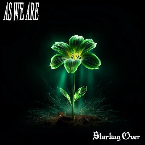 Starting Over