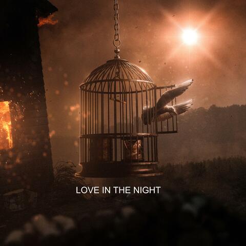 Love In The Night