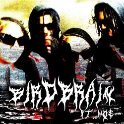 Bird Brain (feat. Moe)