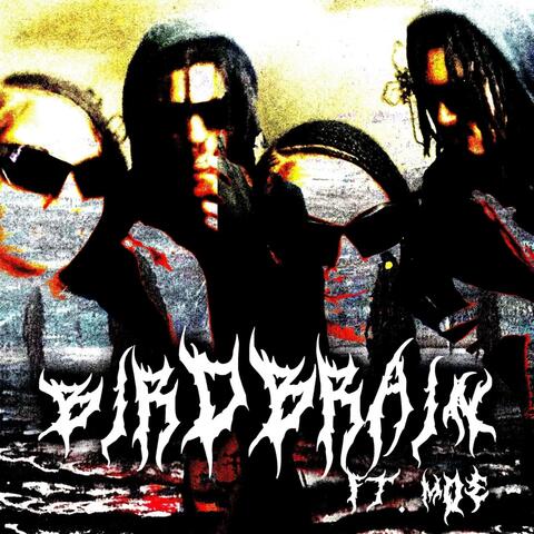 Bird Brain (feat. Moe)