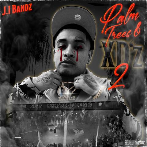 Palm trees & Xd'z 2