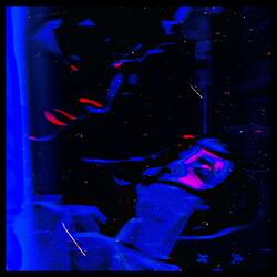 Nights Without You (feat. Schalemale & LLLara)
