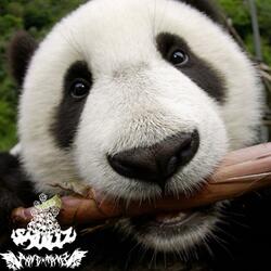 PANDA (feat. $KULLz)