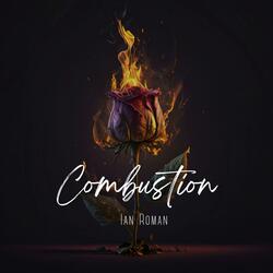 Combustion