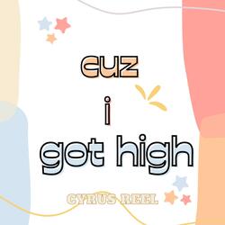 Cuz I Got High