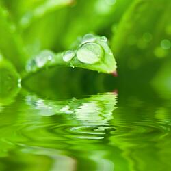 Stillness Unveiled