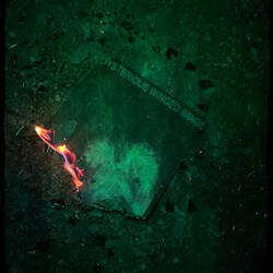 Mysterious Winged Image