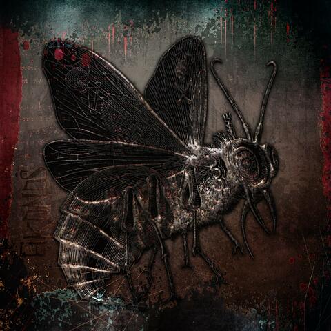 Hurtling Through Space