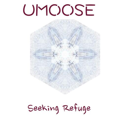 Seeking Refuge
