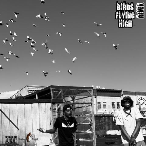 Birds Flying High (feat. Rush33)