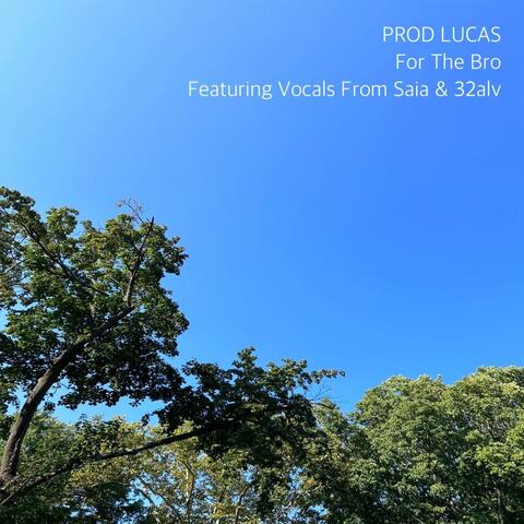 For The Bro (feat. Saia & 32alv)