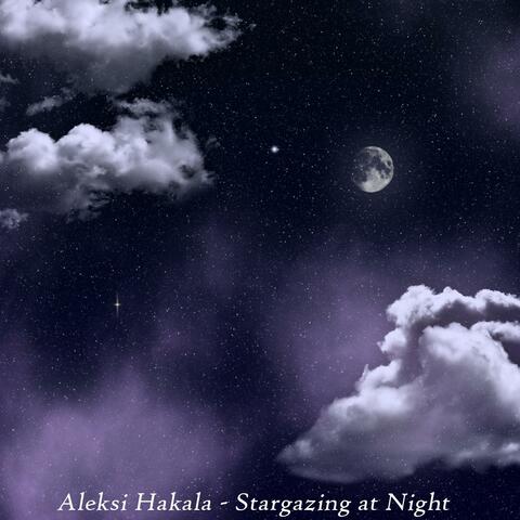Stargazing at Night