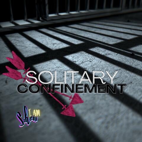 Solitary Confinement