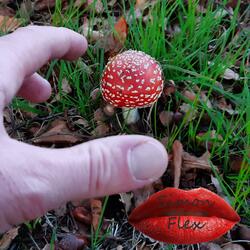 Who Am I Supposed To Be (Acoustic Metal)