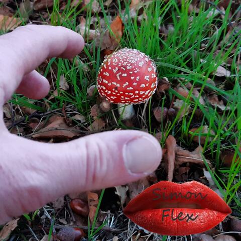 Who Am I Supposed To Be (Acoustic Metal)