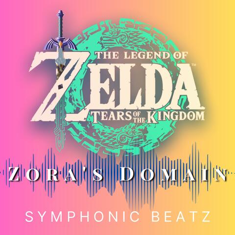 Zora's Domain (Night) Zelda, Tears of the Kingdom