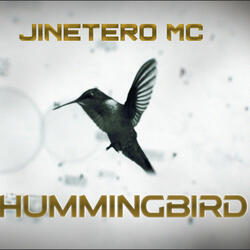 HUMMINGBIRD (Radio Edit)