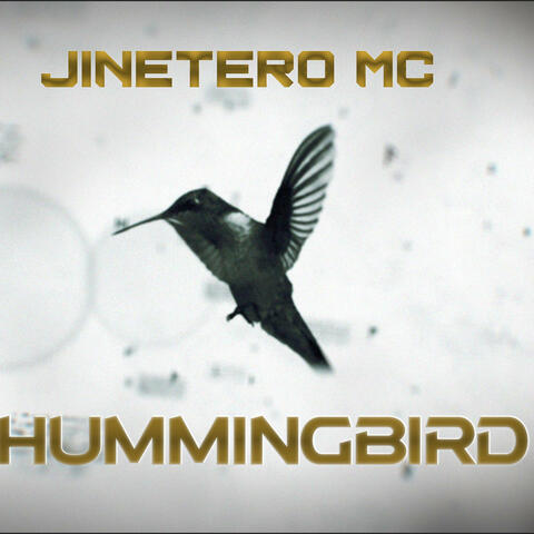 HUMMINGBIRD (Radio Edit)