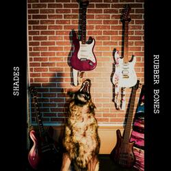 Rubber Bones
