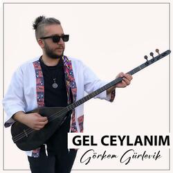 GEL CEYLANIM