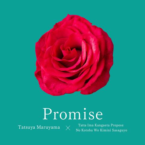 Promise