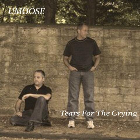 Tears For The Crying