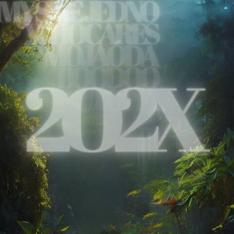 2O2X