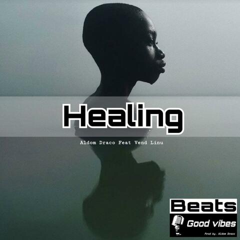 Healing (feat. Dj Vend-Linu)