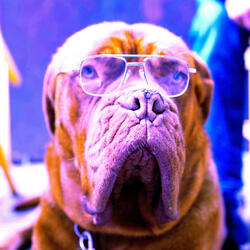This Old Man