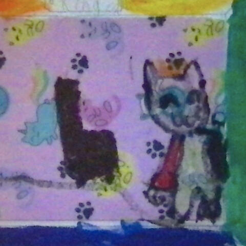 King Cat