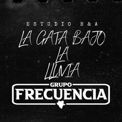 La gata bajo la lluvia