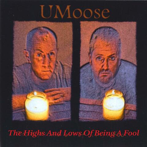The Highs And Lows Of Being A Fool