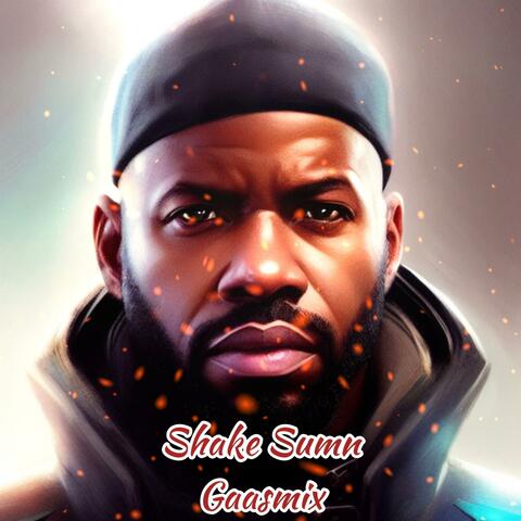 Shake sumn Gaasmix