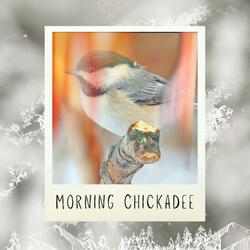 Morning Chickadee