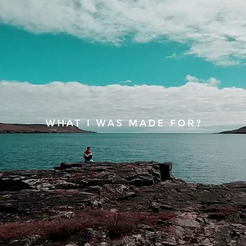 What I Was Made For? (Cover)