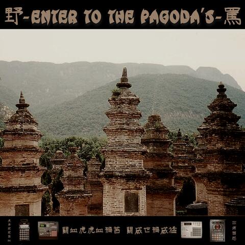 Enter to the pagoda's