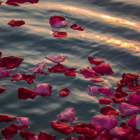 Red Roses (Blue Skies)