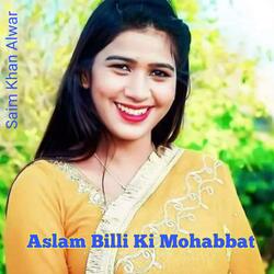 Aslam Billi Ki Mohabbat