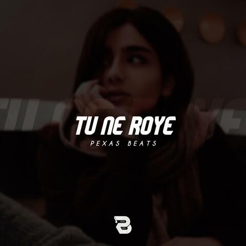 Tu Ne Roye