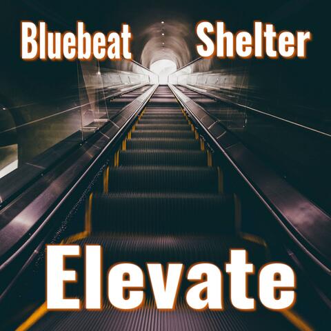 Elevate