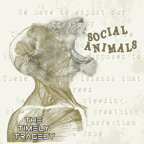 Social Animals
