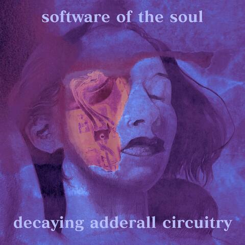 Decaying Adderall Circuitry