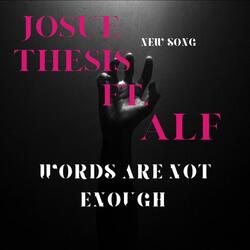 Words are Not Enough II