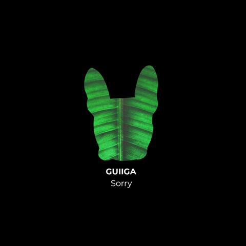 Sorry