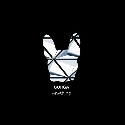 Anything