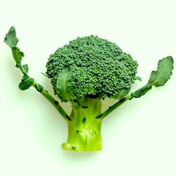 Broccoli On My Plate